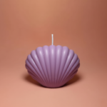 Mini Shell Shape Scented Candle – Sarang